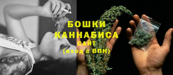 сатива Белокуриха
