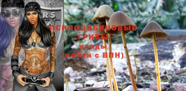 2c-b Богданович