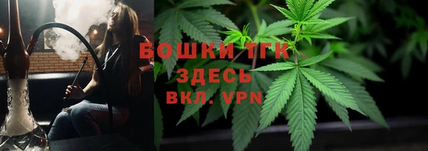 сатива Белокуриха