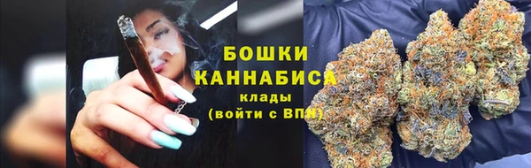 spice Богородск